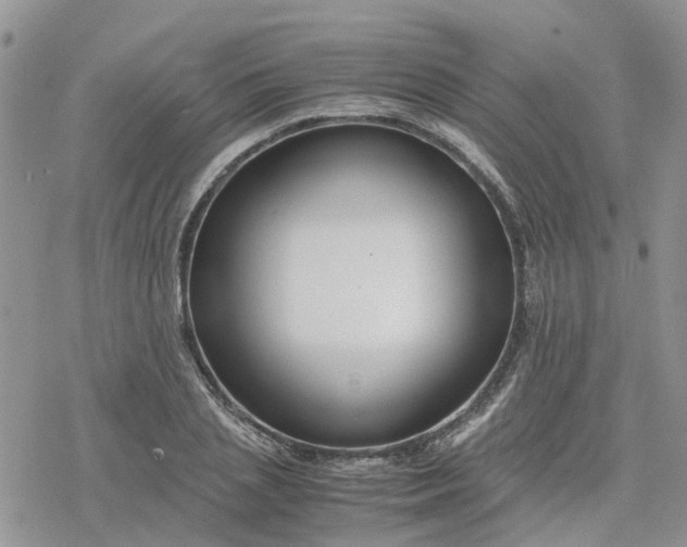 X0000078240837200611171456