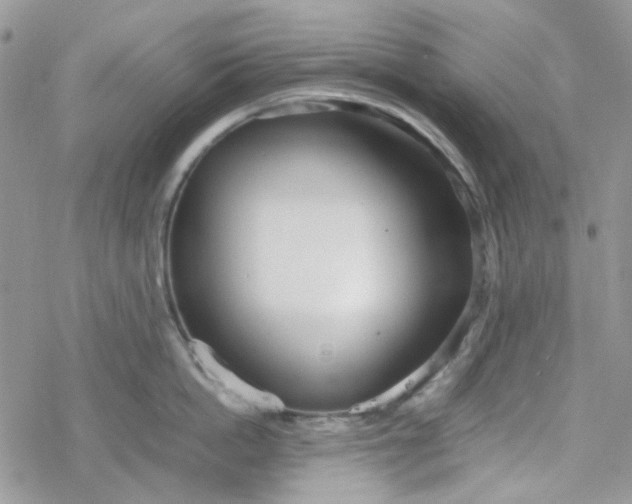X0000078240862200611171457