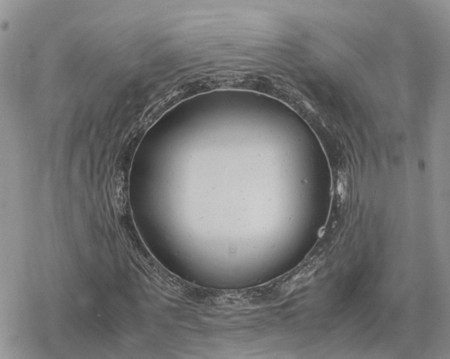 X0000078240867200611171456