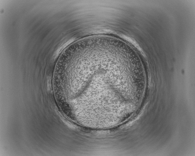 X0000078240889200611171456
