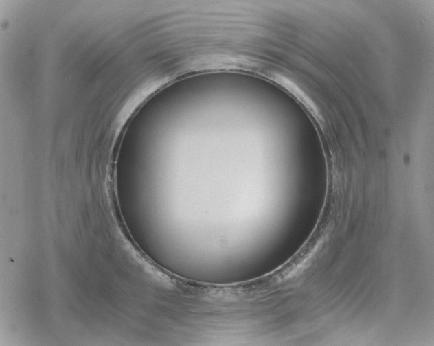 X0000078240901200611171455