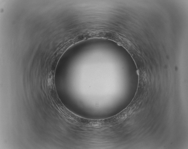 X0000078240914200611171454
