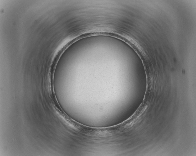 X0000078240982200611171454