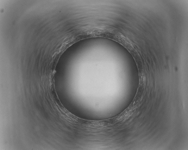 X0000078241012200611171453