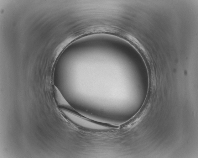 X0000078241089200611171452