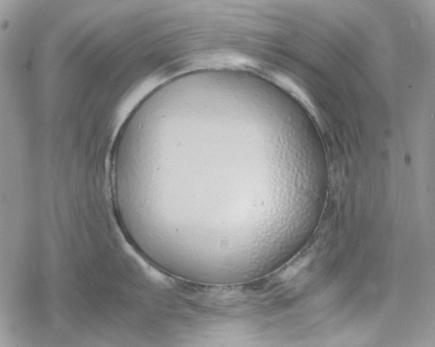 X0000078241103200611171452
