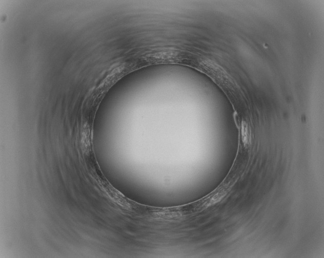 X0000078241107200611171451