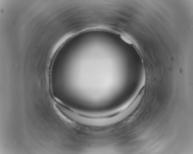 X0000078241151200611171452