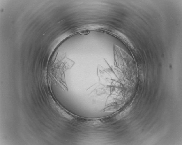 X0000078241186200611171451