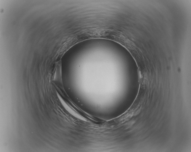 X0000078241202200611171450