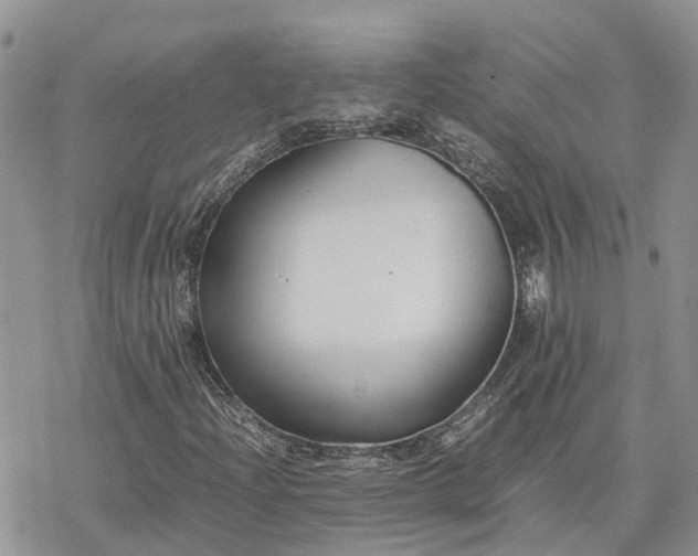 X0000078241204200611171450