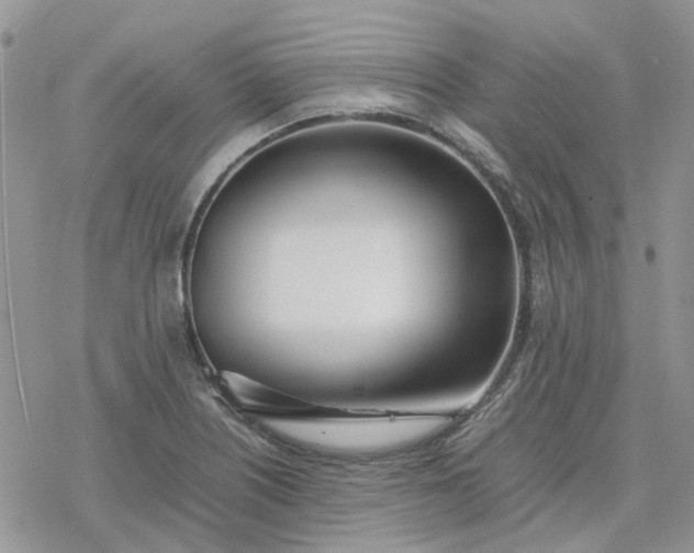 X0000078241226200611171450