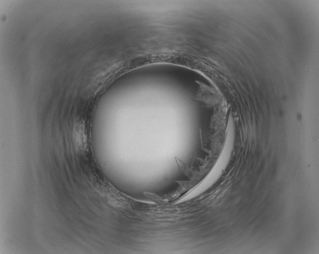 X0000078241252200611171450