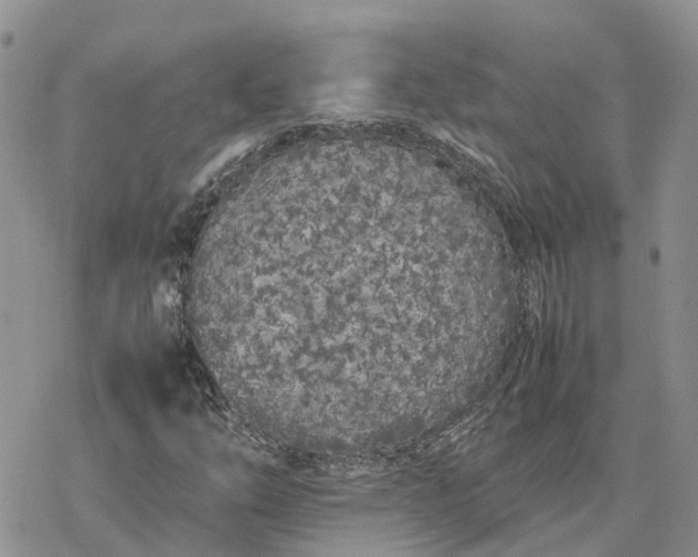 X0000078241254200611171450