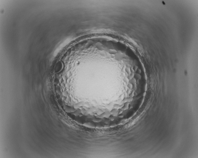 X0000078241263200611171450