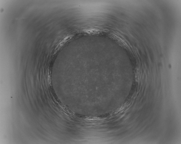 X0000078241298200611171448