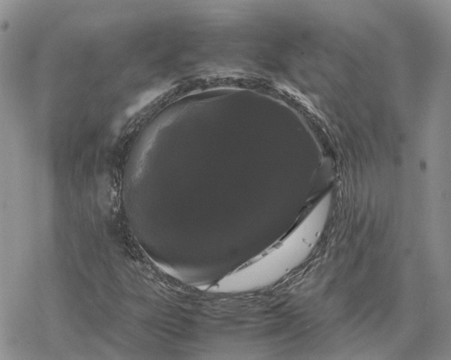 X0000078241303200611171448
