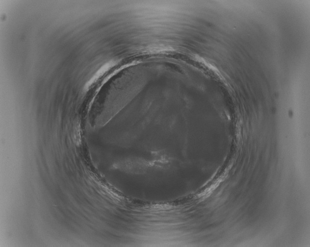 X0000078241306200611171448