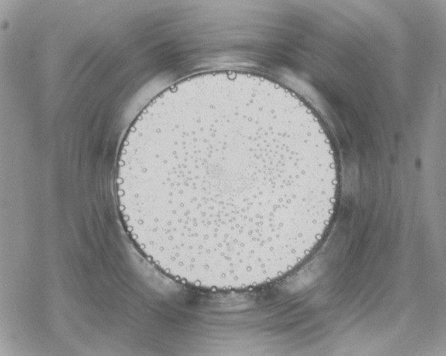 X0000078241338200611171449