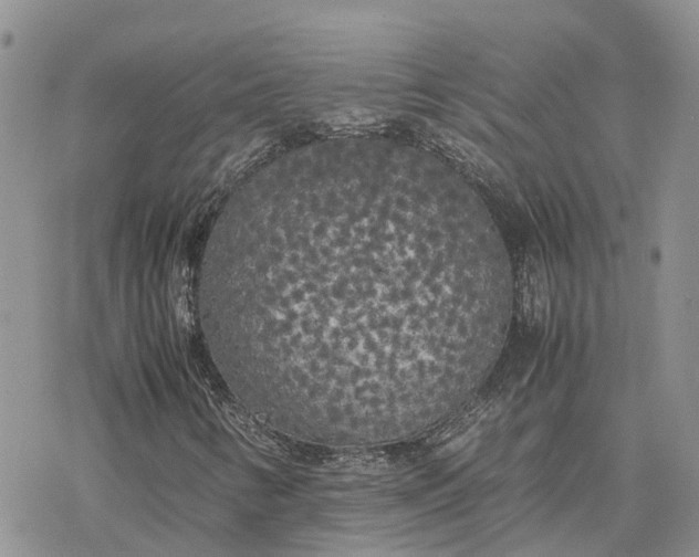 X0000078241346200611171448