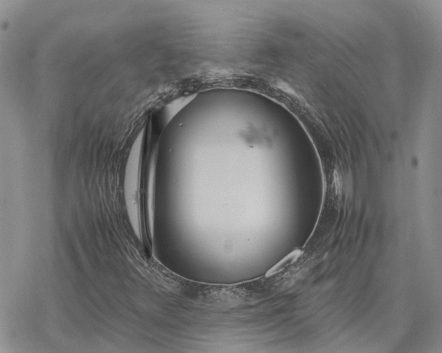 X0000078241348200611171448