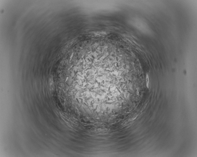 X0000078241395200611171447