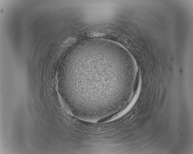 X0000078241441200611171447