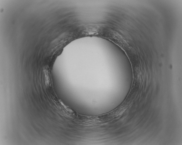 X0000078241442200611171447