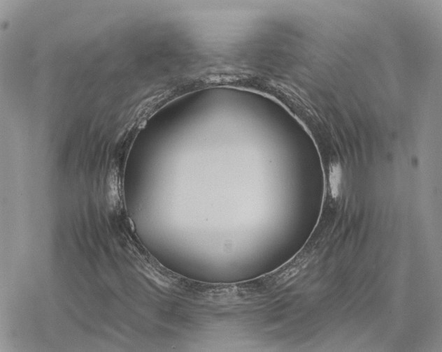 X0000078241444200611171447