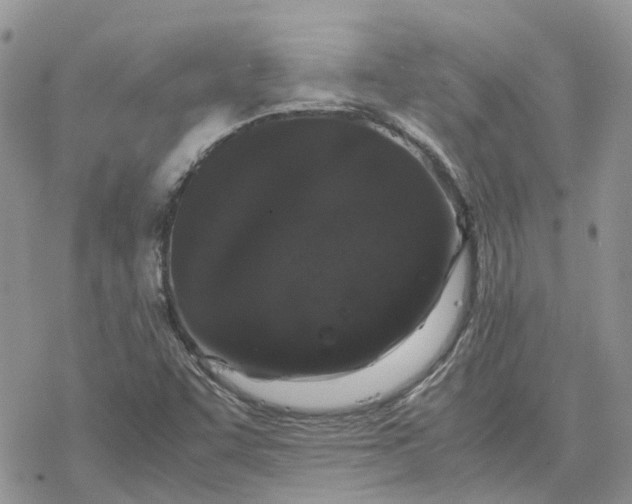 X0000078241455200611171446