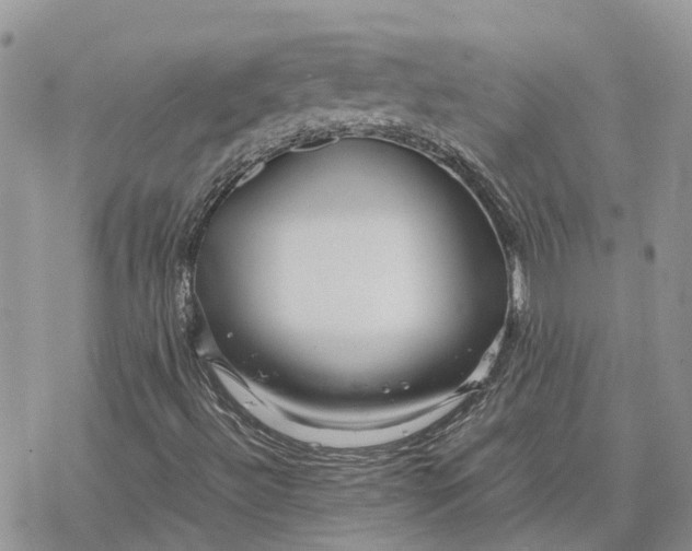 X0000078241492200611171445