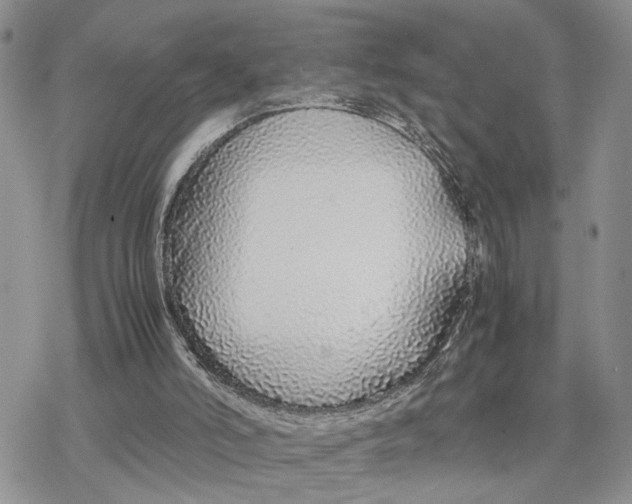 X0000078240006200611251250