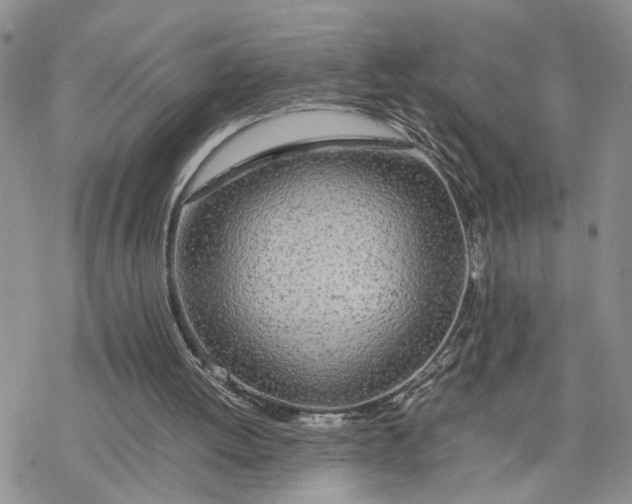 X0000078240052200611251249