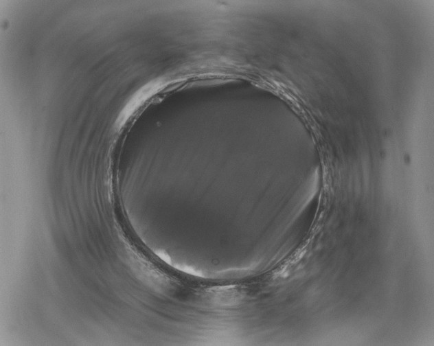 X0000078240054200611251249
