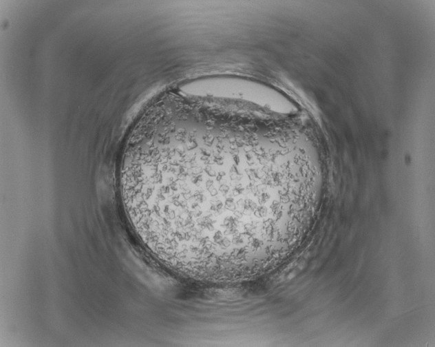 X0000078240107200611251249