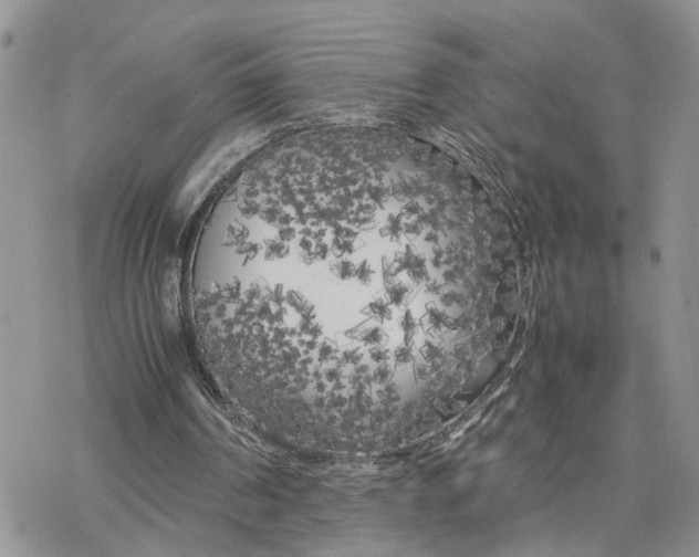 X0000078240194200611251247