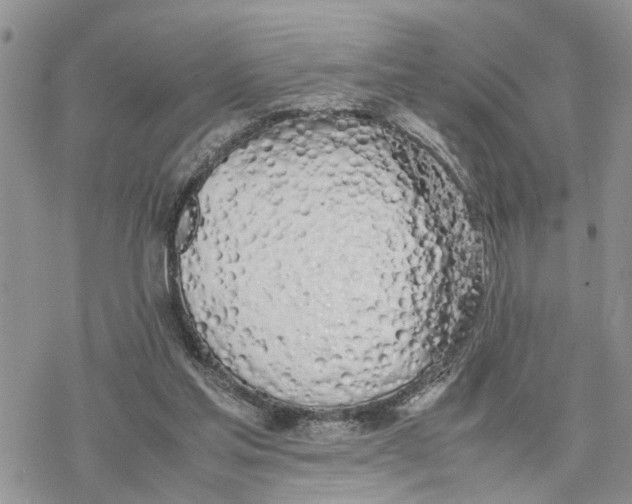 X0000078240205200611251247