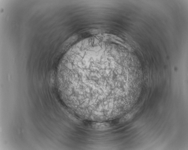 X0000078240277200611251246