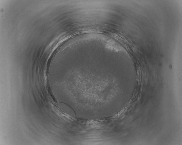 X0000078240290200611251246