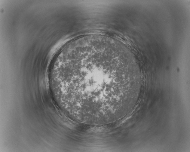 X0000078240294200611251245