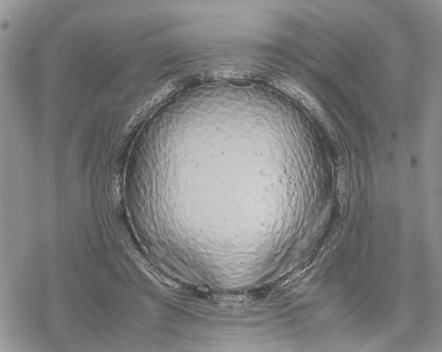 X0000078240401200611251244