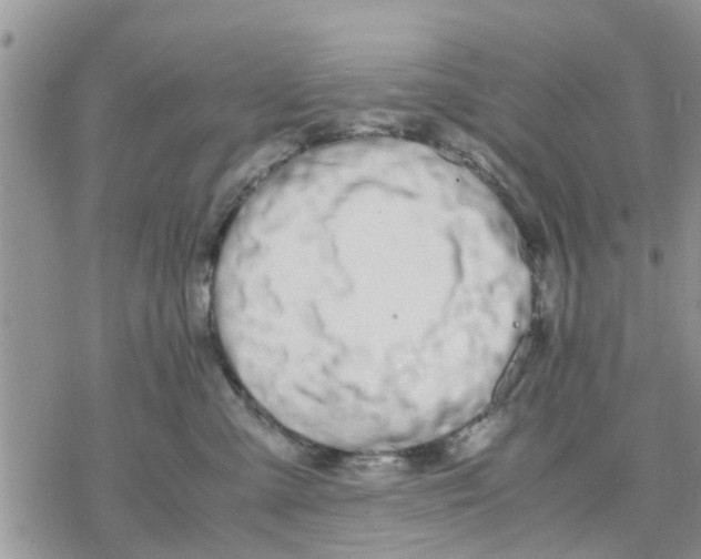 X0000078240427200611251243