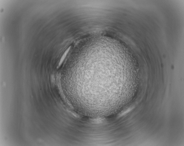 X0000078240432200611251243