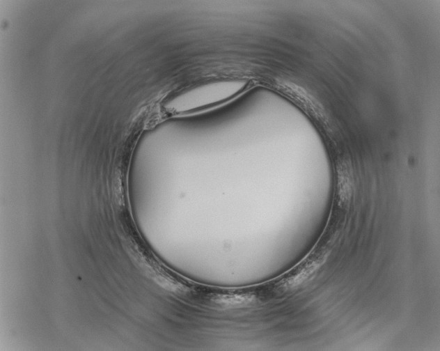 X0000078240453200611251243