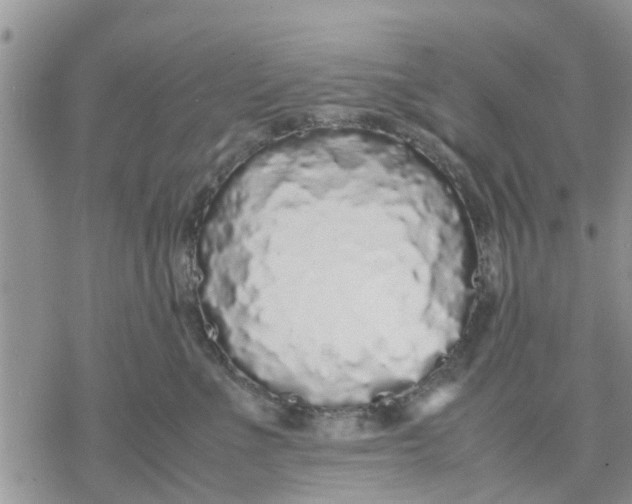 X0000078240523200611251242