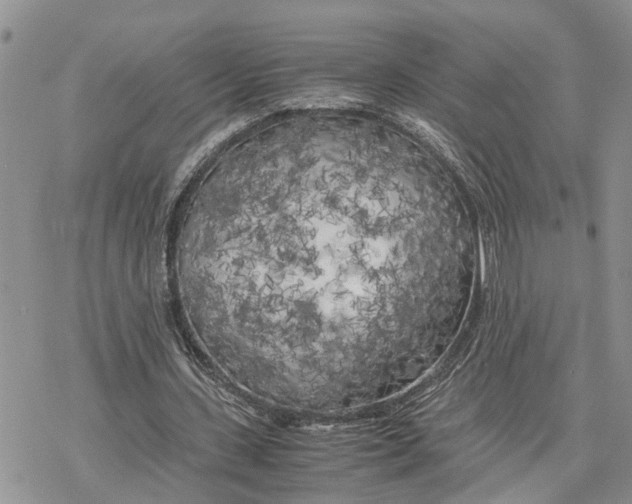 X0000078240531200611251241