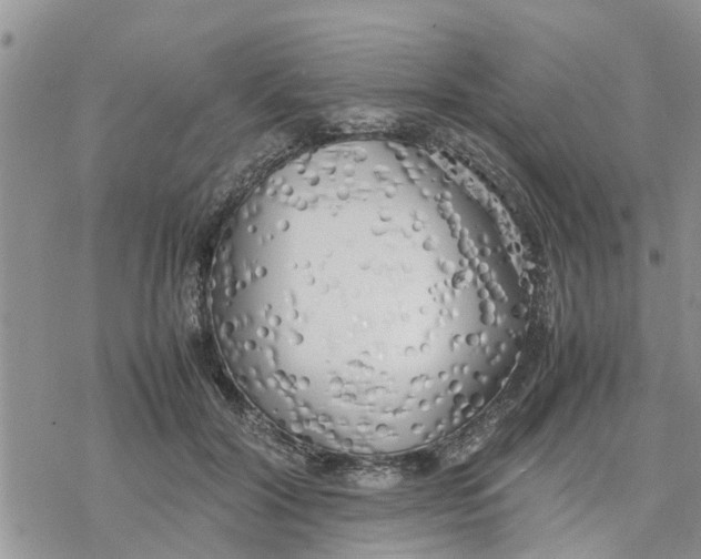 X0000078240604200611251240