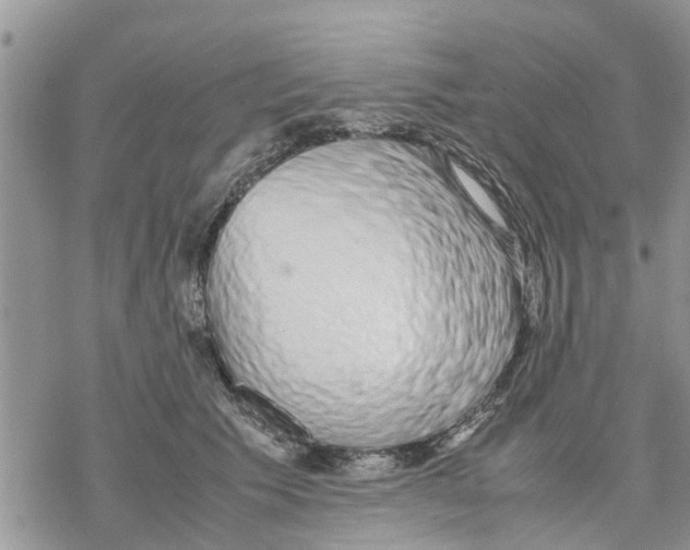 X0000078240609200611251240