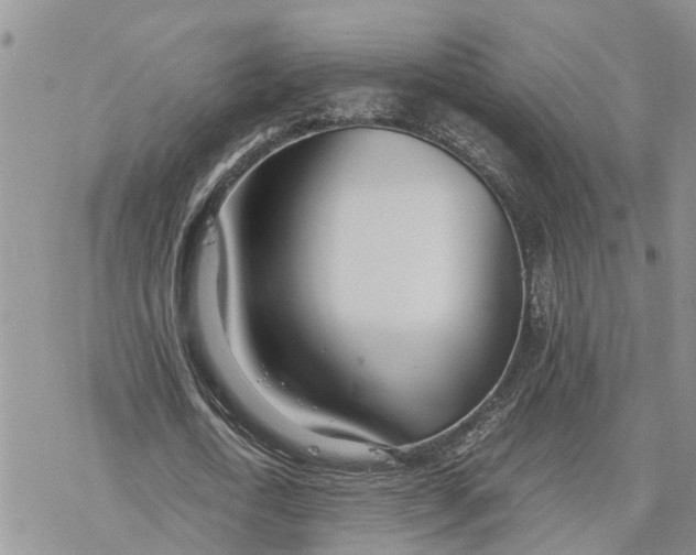 X0000078240722200611251238