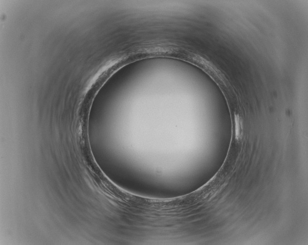 X0000078240723200611251238